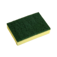 Sponge Scourer - Standard