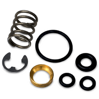 Repair Kit V800 Valve