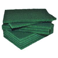 Scourer Pad - Standard