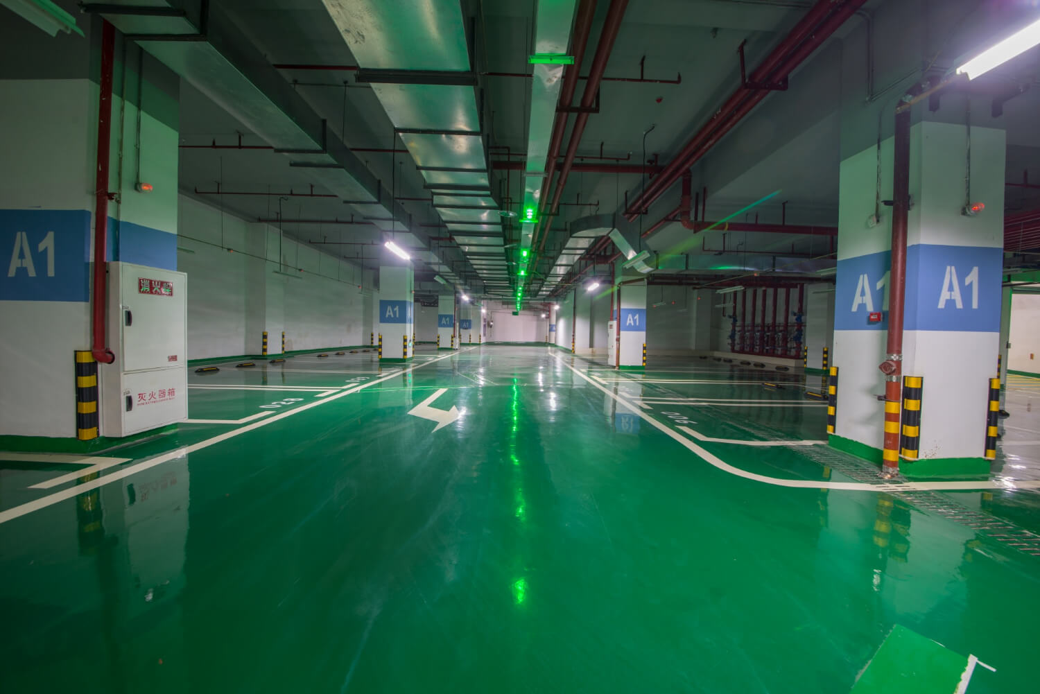Biofilm Buildup on Industrial Floors: What It Is and Why Regular Cleaners Fail
